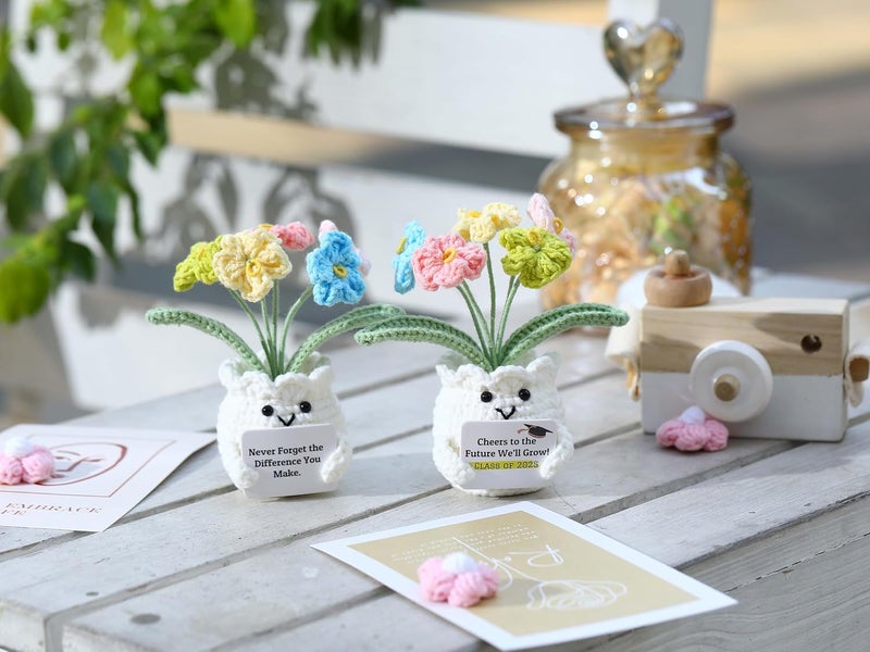 YOOJEE Valentines Day Gifts for Teacher Women Coworker Female Boss Positive Crochet Animals Handmade Emotional Support Appreciation Inspirational Retirement “Never Forget The Difference You Make” - Image 5